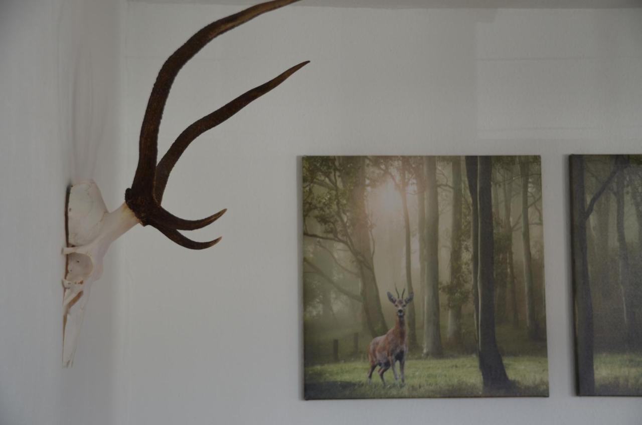 Ferienwohnung Fahrner Baiersbronn Esterno foto
